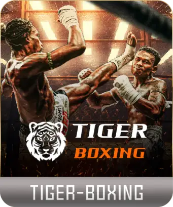 TIGER BOXING